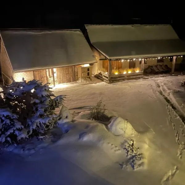 Lapite, hotel in Parnumaa