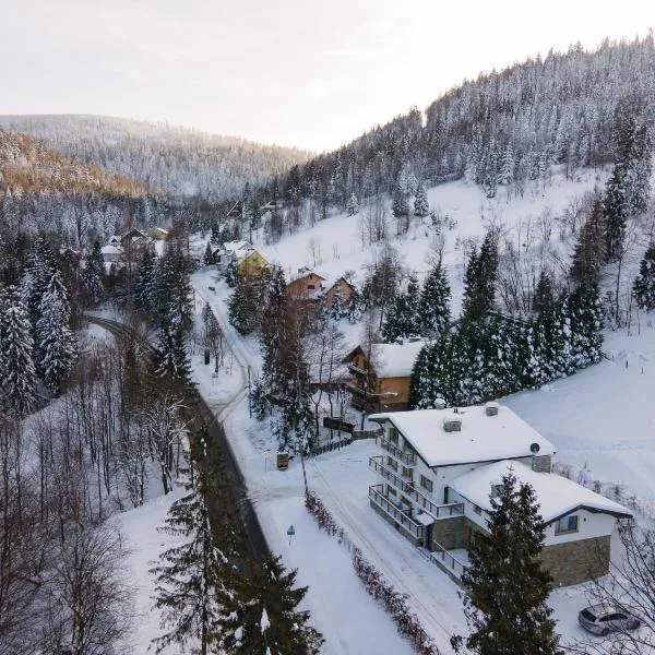 Willa Marko z sauną, grillowiskiem i rowerownią - Dream Apart，位于什切尔克的酒店