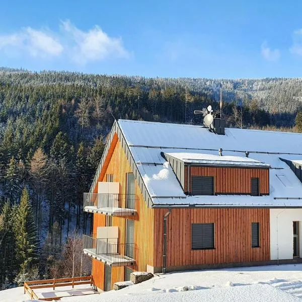 Apartmány Marek a Michal, hotel Dolní Moravában