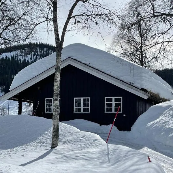 Kultan, hotel in Åmotsdal