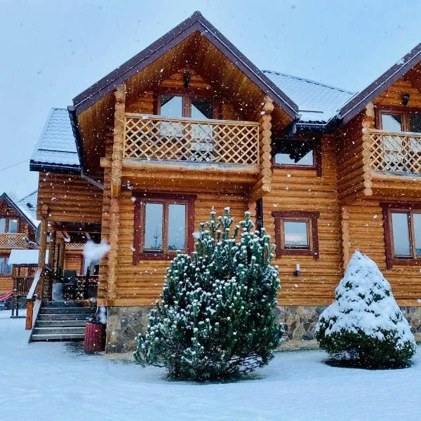 Садиба Панська, hotel in Dovzhanky Village