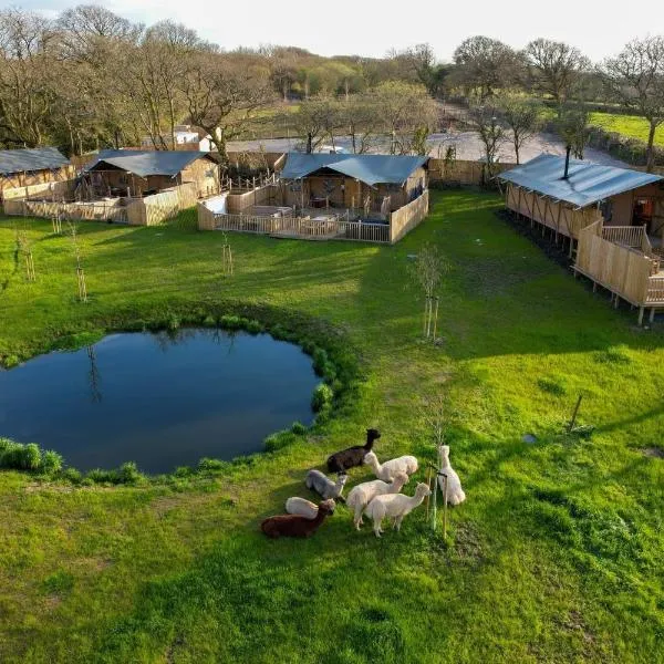 Jungle Book Safari Tent, hotel v destinaci Tenby