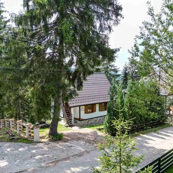 Vila Bajka, hotel v destinaci Nova Varoš