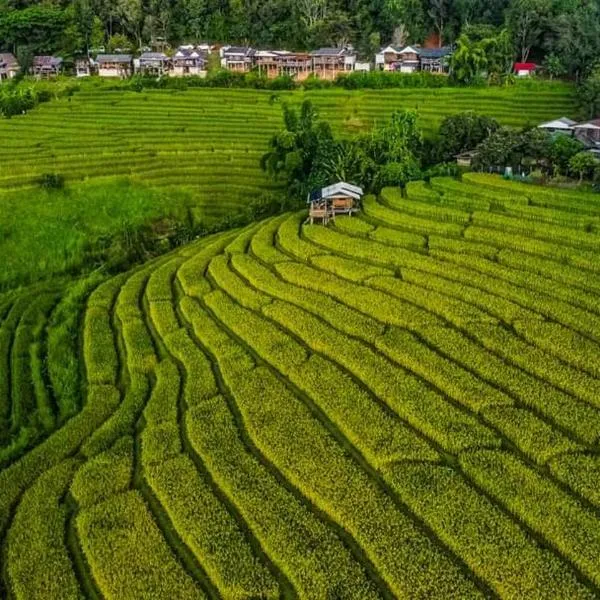 บ้านพักชิปู ป่าบงเปียง, hotel v destinaci Ban Mae Pan Noi