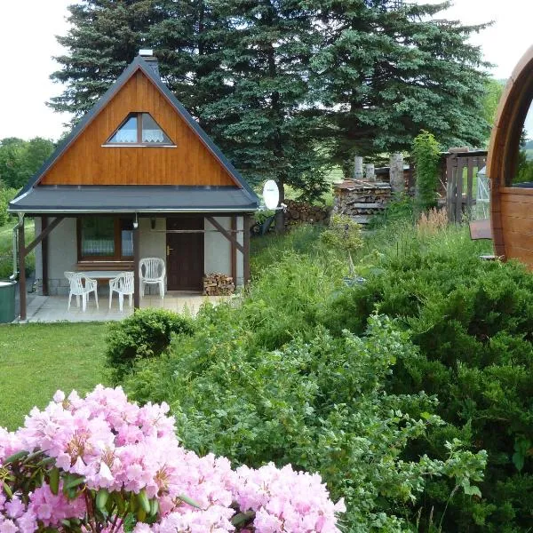 Ferienhaus mit Kamin , Terrasse und Aussensauna, hotel in Pöhla