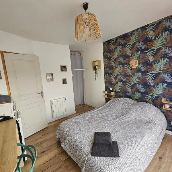 Chambre indépendante, privée climatisée avec parking, hotel v destinaci Montauban