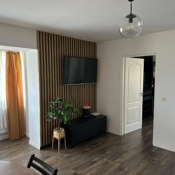 Cozy apartment, ξενοδοχείο σε Baia Mare