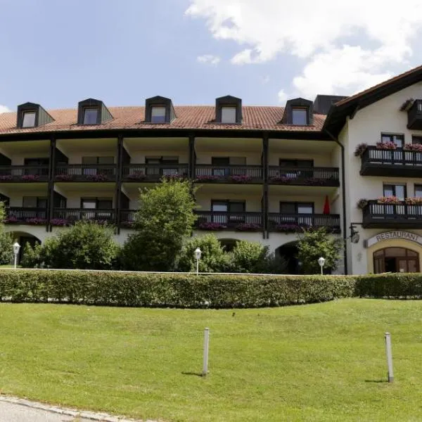 Hotel Birkenhof Therme, отель в Бад-Грисбахе