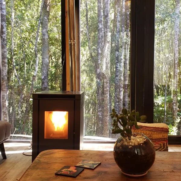 Cabaña Bosque Rio, hotel v destinaci Puerto Varas
