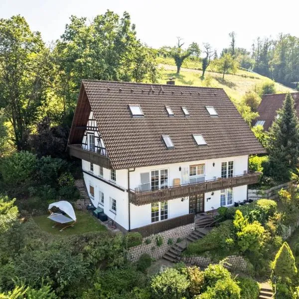 Ferienhaus The Himmelsteig, отель в Засбахвальдене