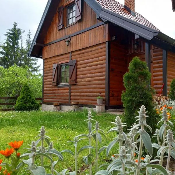 Brvnare Na Brdu, hotel u gradu Šljivovica