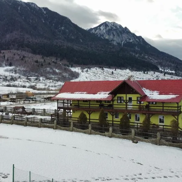 Maricom Home, ξενοδοχείο σε Zarnesti