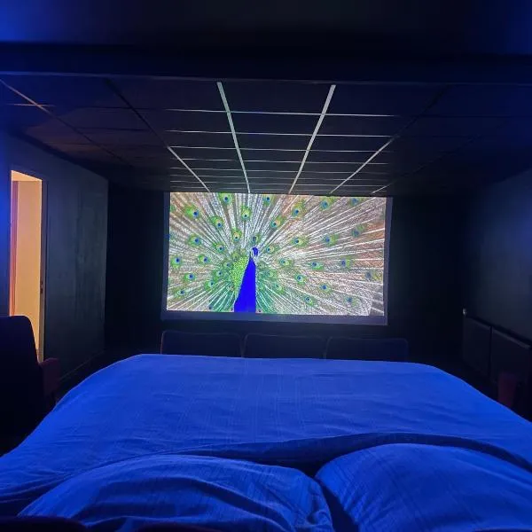 Cinema Paradiso - Appartement de charme avec Sauna, Hammam, spa – hotel w mieście Issoudun