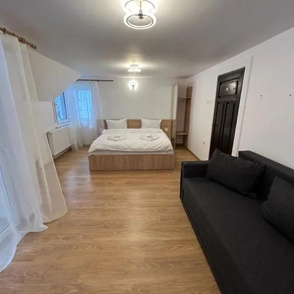 Vila Artemis Straja, hotel in Lupeni