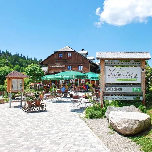 Höhengasthaus Kolmenhof an der Donauquelle – hotel w mieście Furtwangen im Schwarzwald