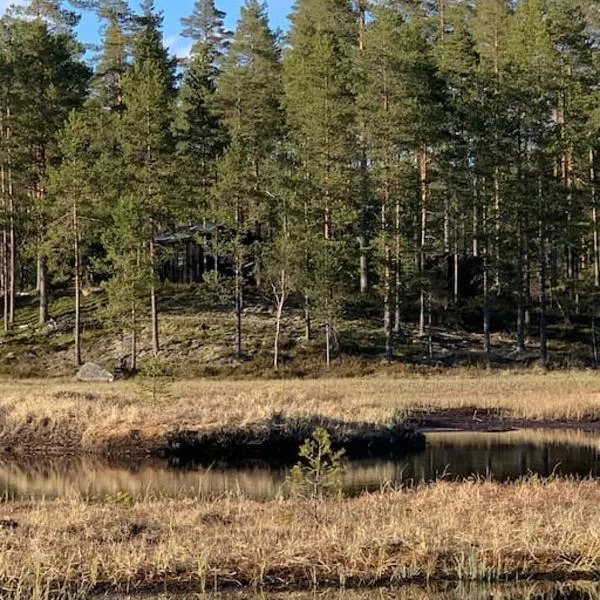 Velkommen til Finnskogen og minihytta Rimbila, hotel v destinaci Kongsvinger