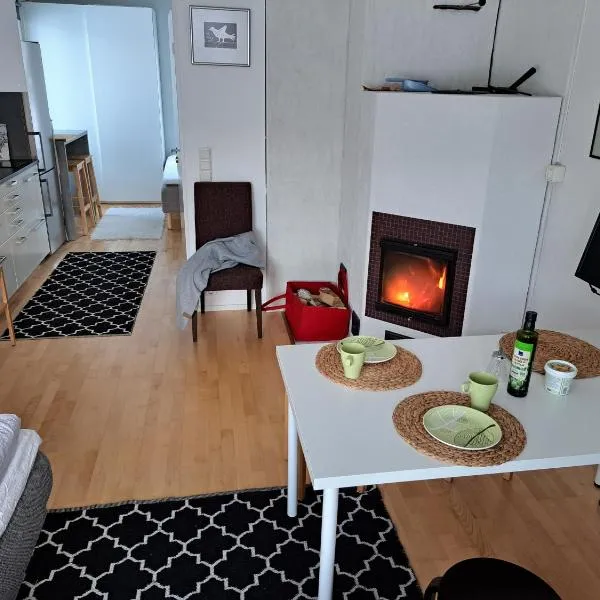 Modern apartment, hotel en Kittilä