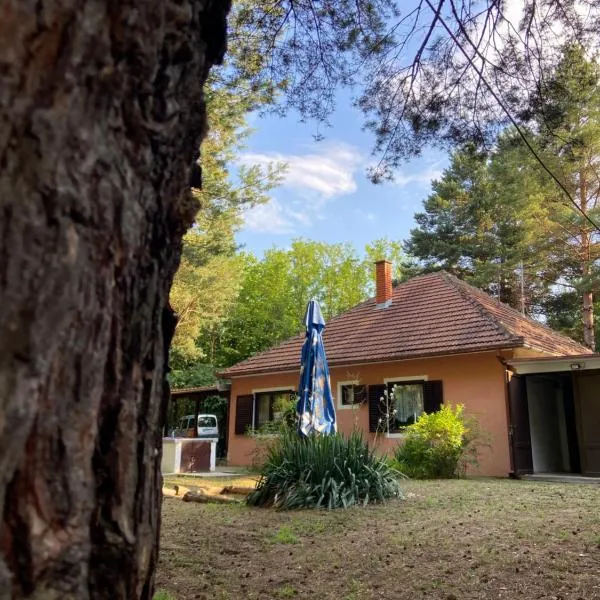 Šumska kuća Juga Kovačević, hotel v destinaci Bela Crkva