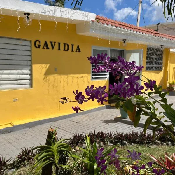 Gavidias Guest House, Hotel in San Lorenzo