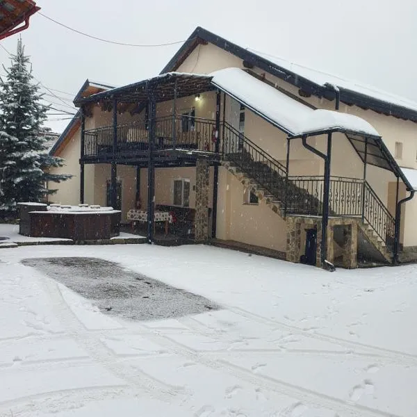 CASA LAURENTIU, hotel v destinaci Borşa
