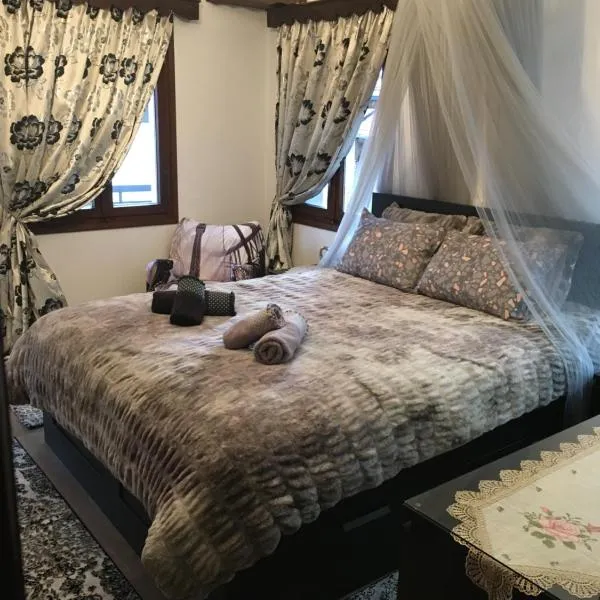 AGAPI’S HOUSE, hotel v destinaci Metsovo