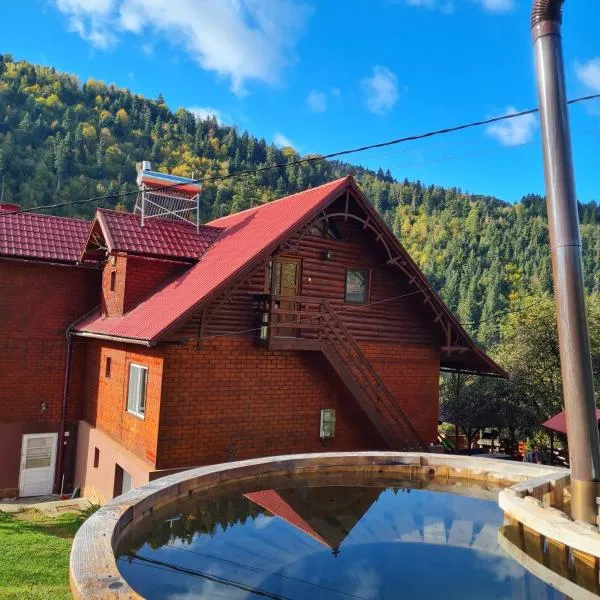 Pensiunea Cabana Viselor, hotel sa Vadu Moţilor