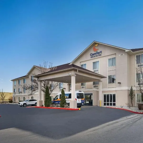 Comfort Inn & Suites Airport Convention Center, hotel in Reno