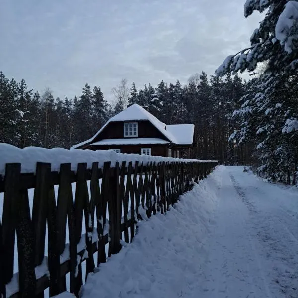 Sosnowy Domek, hotel v destinaci Harasiuki
