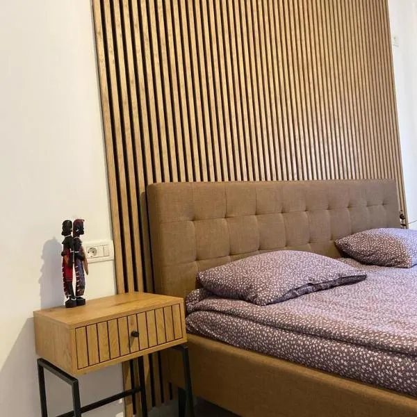Rental house, hotel v destinaci Uisenteş