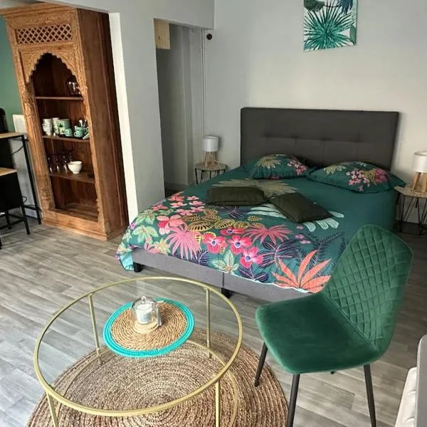 Studio indépendant avec jardin, hôtel à Tours