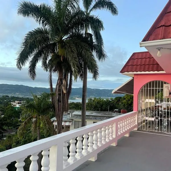 Three Palm Villa, hotel in Johns Hall