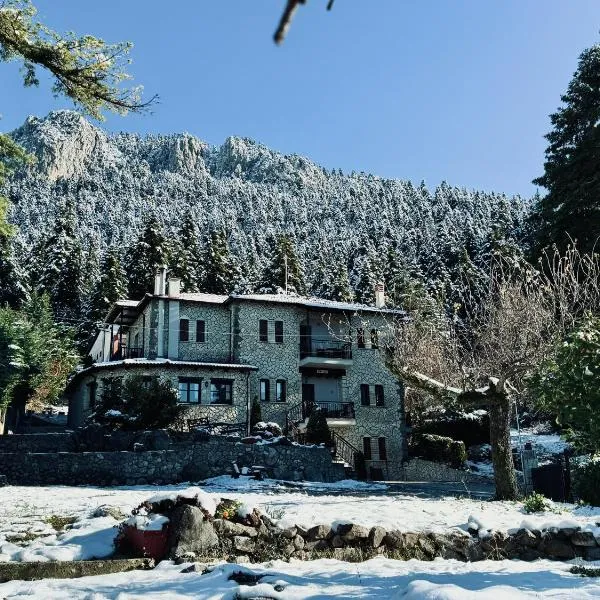 Hotel Katafigio, hotel v destinaci Elati Trikala