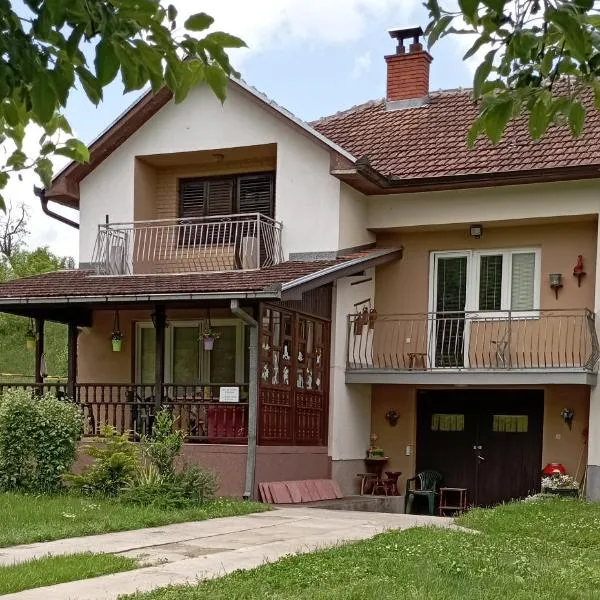 Kuca za odmor Zicanka, hotel in Bogutovac