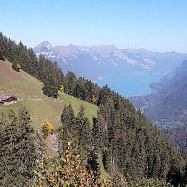 DesAlpes, hotel di Saxeten