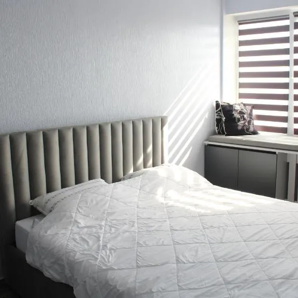 Ana's Apartment、キシナウのホテル