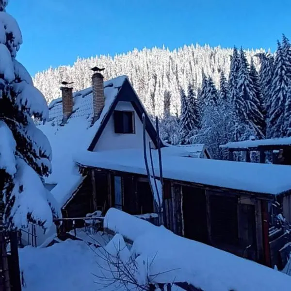 KopanikSkiRooms15e, hotel v destinaci Kopaonik