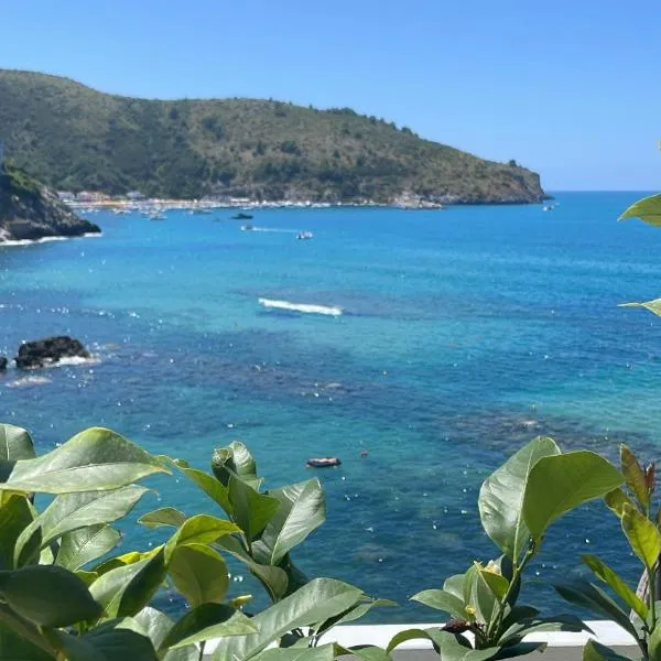 Hotel Ficocella, hotel Palinuróban