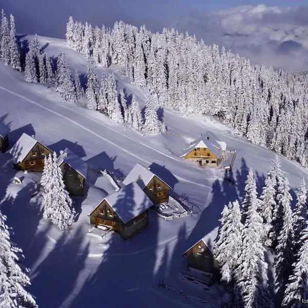 MoselebauerAlm, hotel v destinácii Klippitztorl