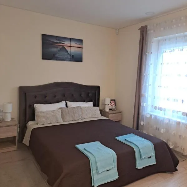 LIUX apartamentai: Šlienava şehrinde bir otel