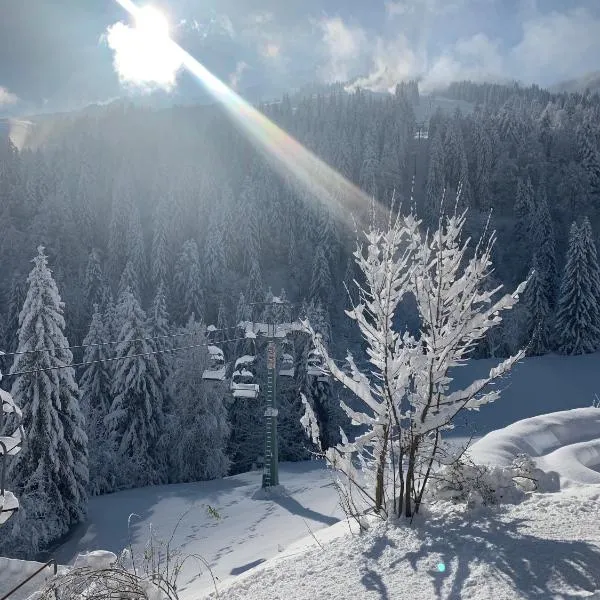 Berghotel Pointenhof, hotel i St. Johann in Tirol