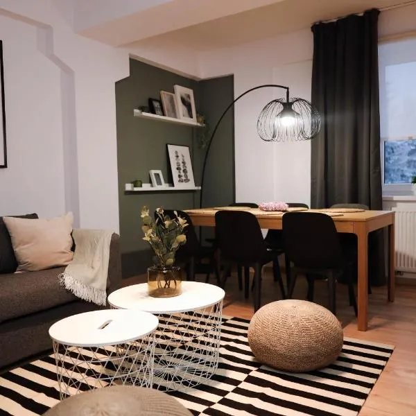 Forest View Apartment - Rezidence K Lanovce, hotel in Jáchymov