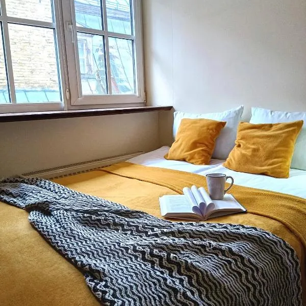 Old Town Charm One bedroom Spacious Loft Apartment nearby the Livu square, hotell Riias