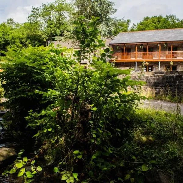 The Falcon Inn Retreat、アバーデアのホテル