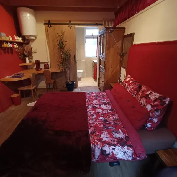 Bed and Breakfast Opus 209, hotel v destinaci Zwolle
