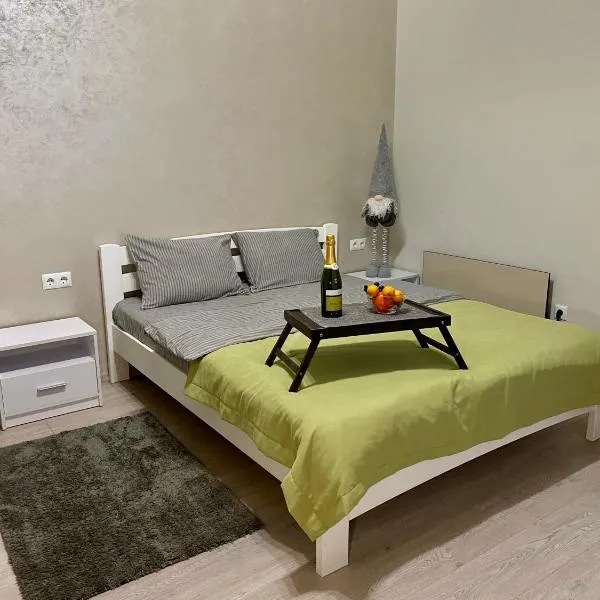 Truskavets Oasis Apartments, hotel in Truskavets