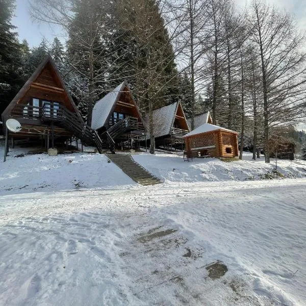 Karpatskyy, hotel en Rozluch