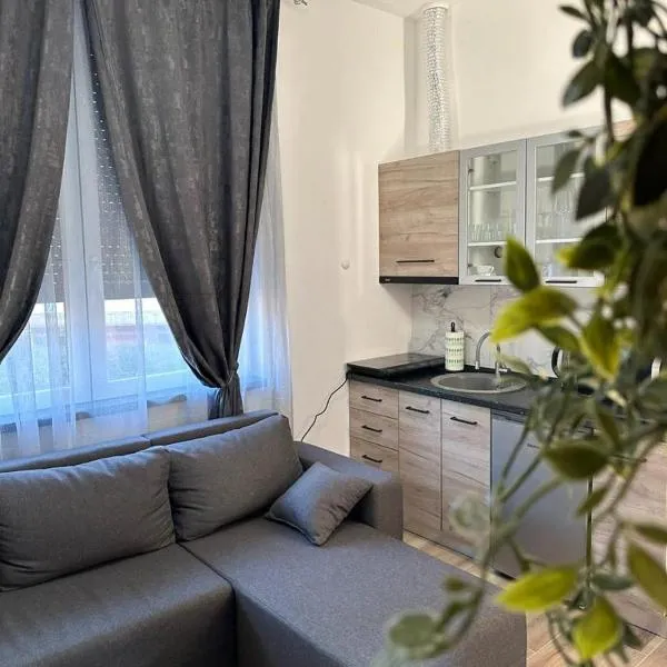 Apartmani M.&.B Luks, готель у місті Mataruška Banja