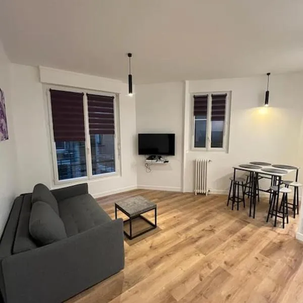 Charment appartement Paris 15