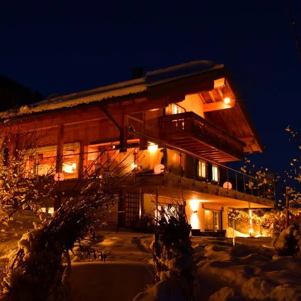 Ferienwohnungen Kohler komplett neu renoviert E-Ladestaion kostenlos, Hotel in Mittelberg