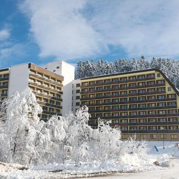 Hotel SOREA ĽUBOVŇA، فندق في ستارا لوبوفنا